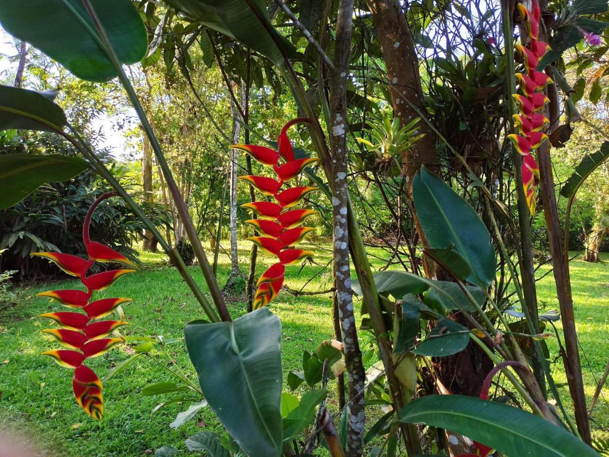 Ecoisa De Chacara - Casa De Vidro, Casa De Campo มอร์เฮชิส ภายนอก รูปภาพ